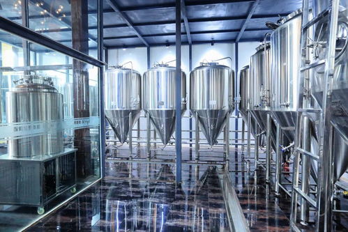 travel 美食之旅丨靈秀山水,詩意山東 青島